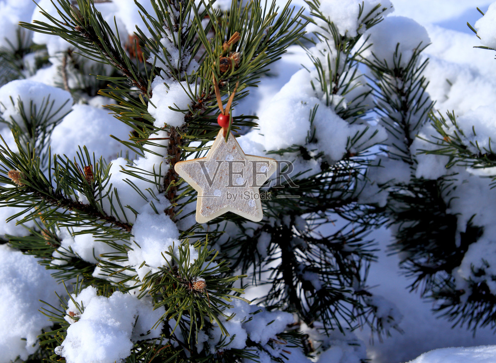 装饰照片摄影图片