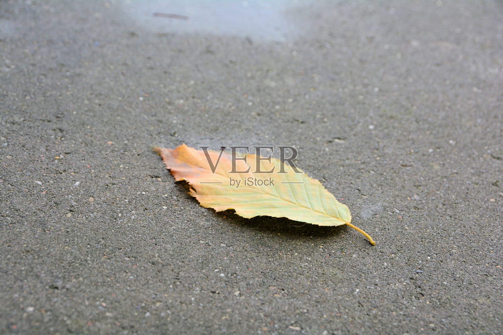 秋天照片摄影图片