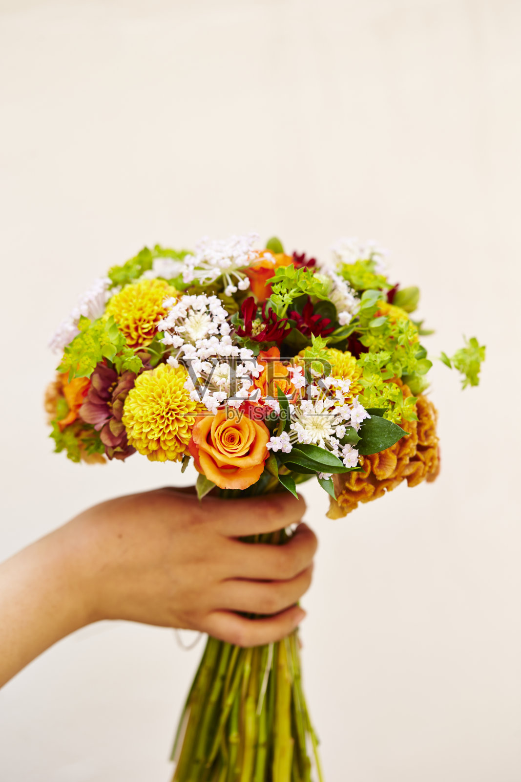 花朵的花束照片摄影图片