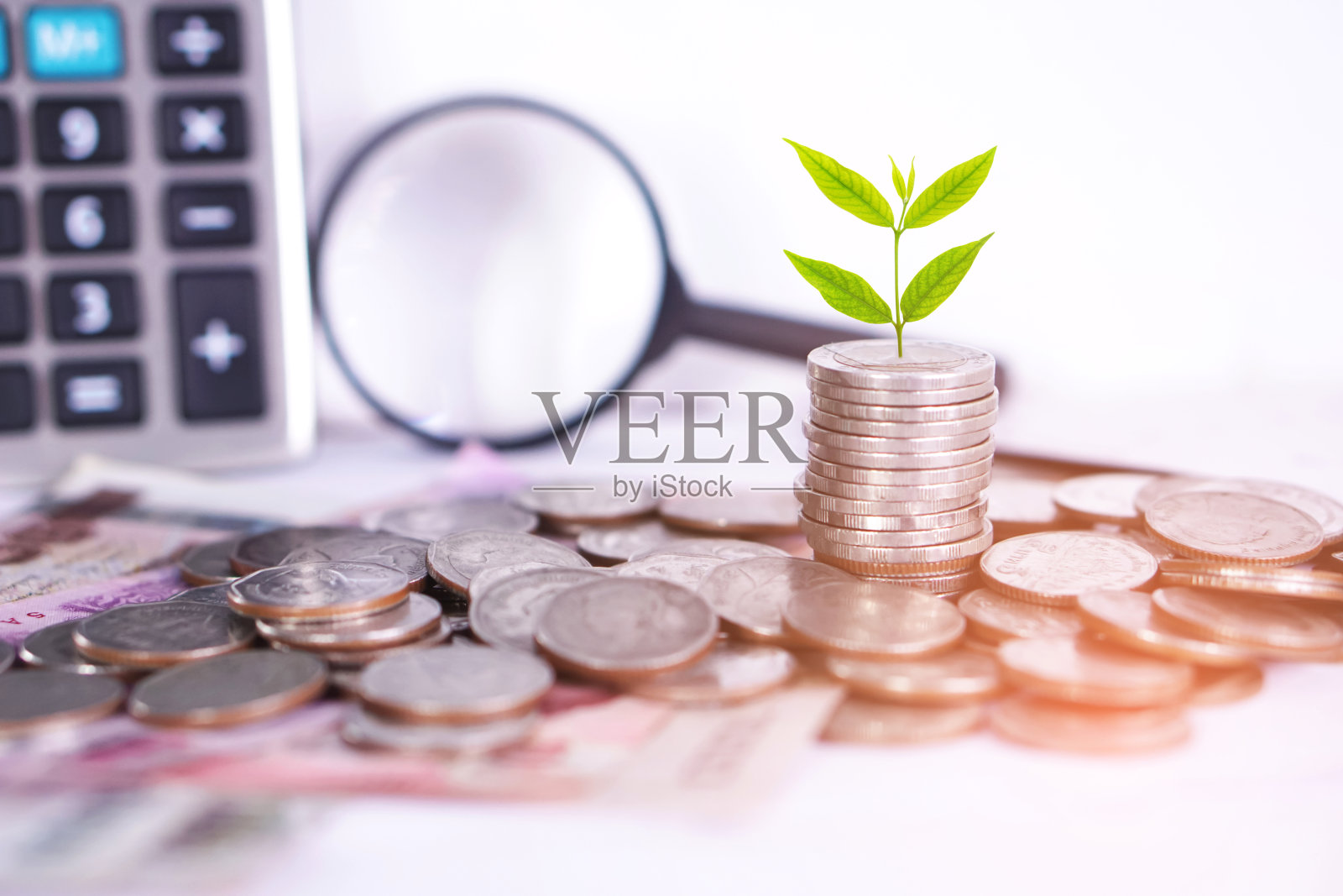 树上的硬币想法成长的企业概念照片摄影图片