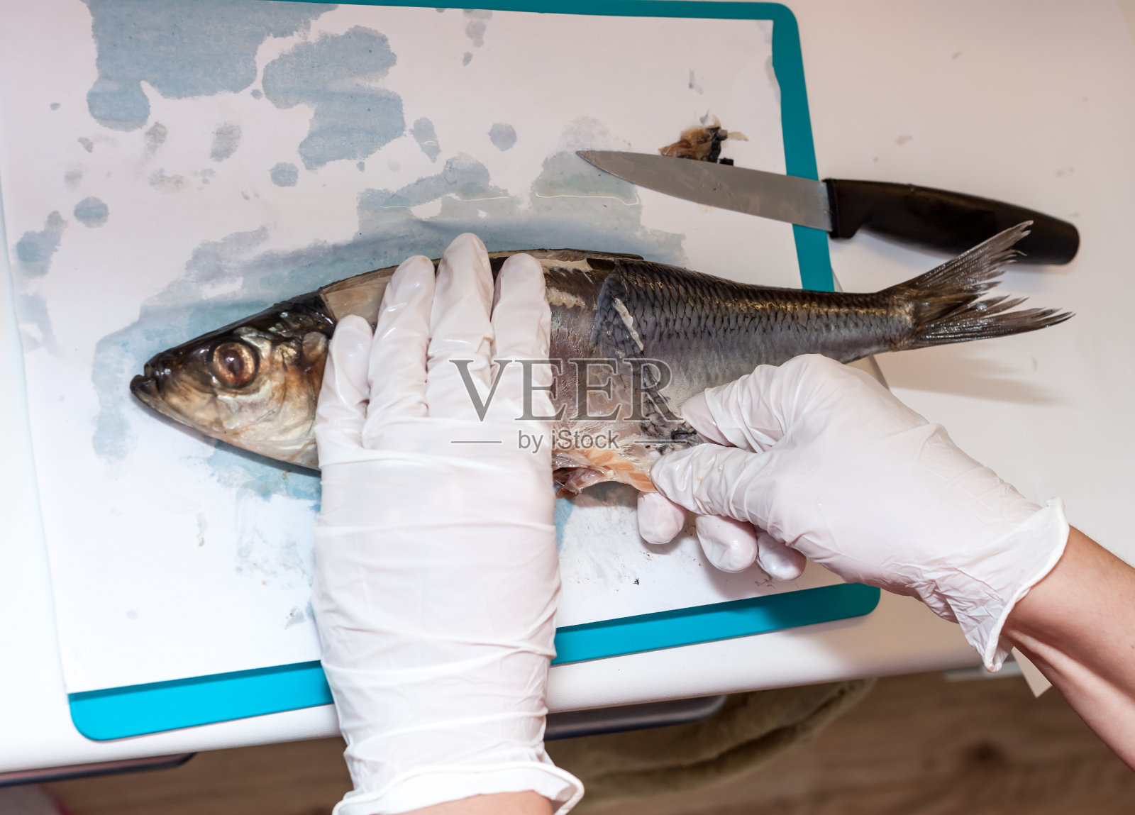 在厨房里煮鲱鱼照片摄影图片