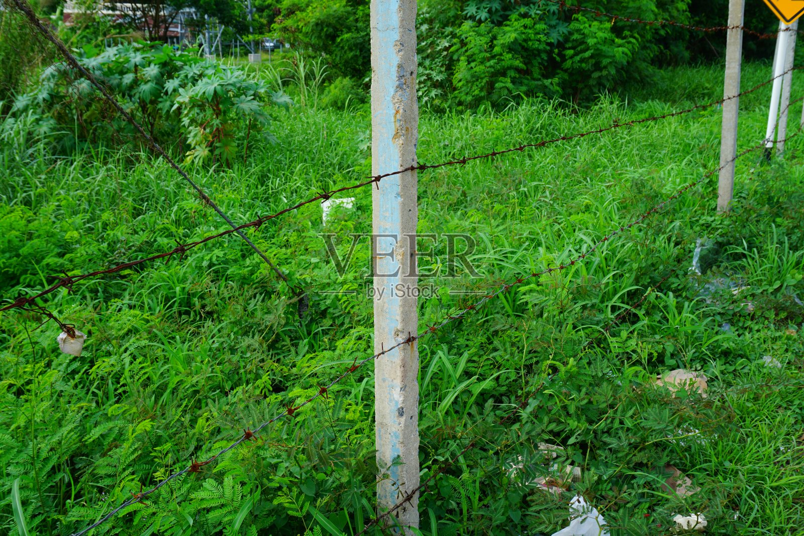 生锈的铁丝网照片摄影图片