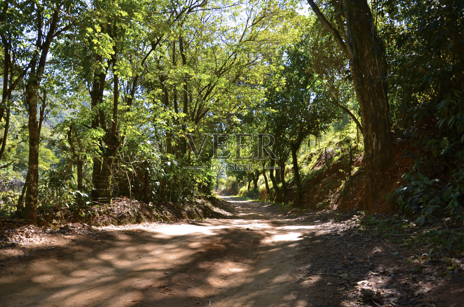 埃斯特拉达照片摄影图片