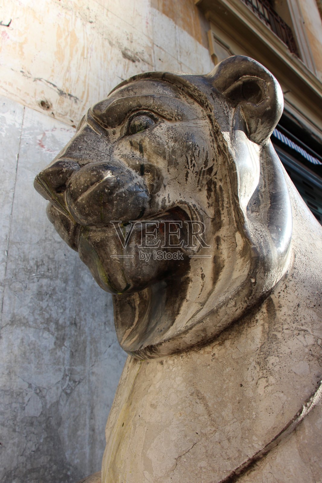 巴勒莫-狮子雕塑照片摄影图片