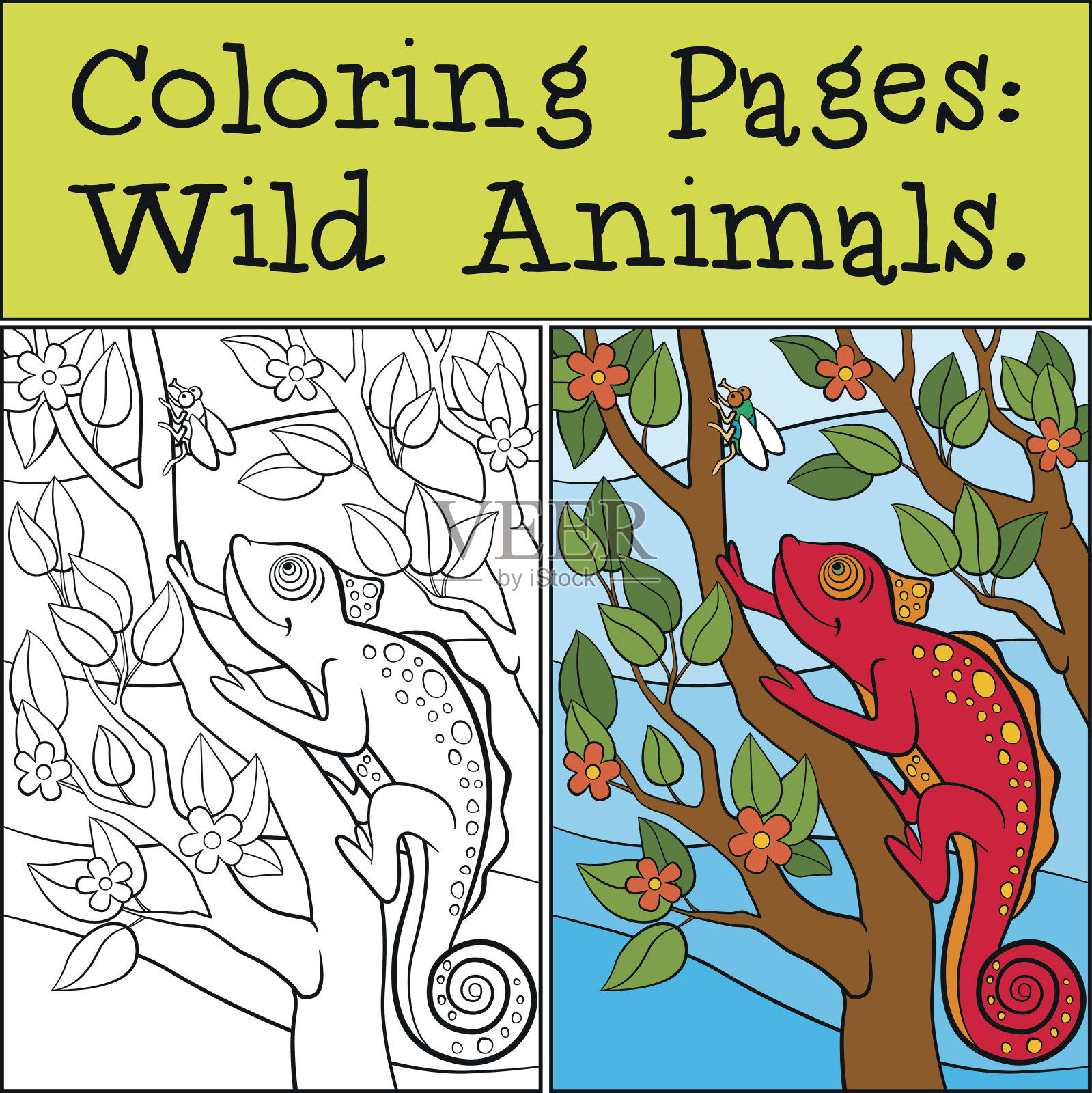 涂色页:野生动物。可爱的小红色变色龙插画图片素材