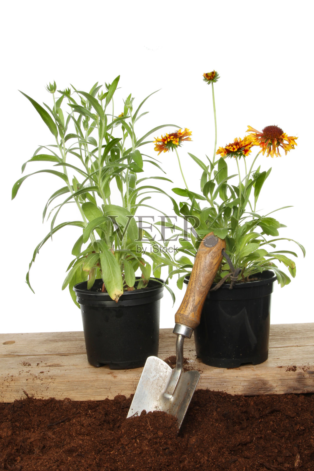 夏天的床上用品工厂照片摄影图片