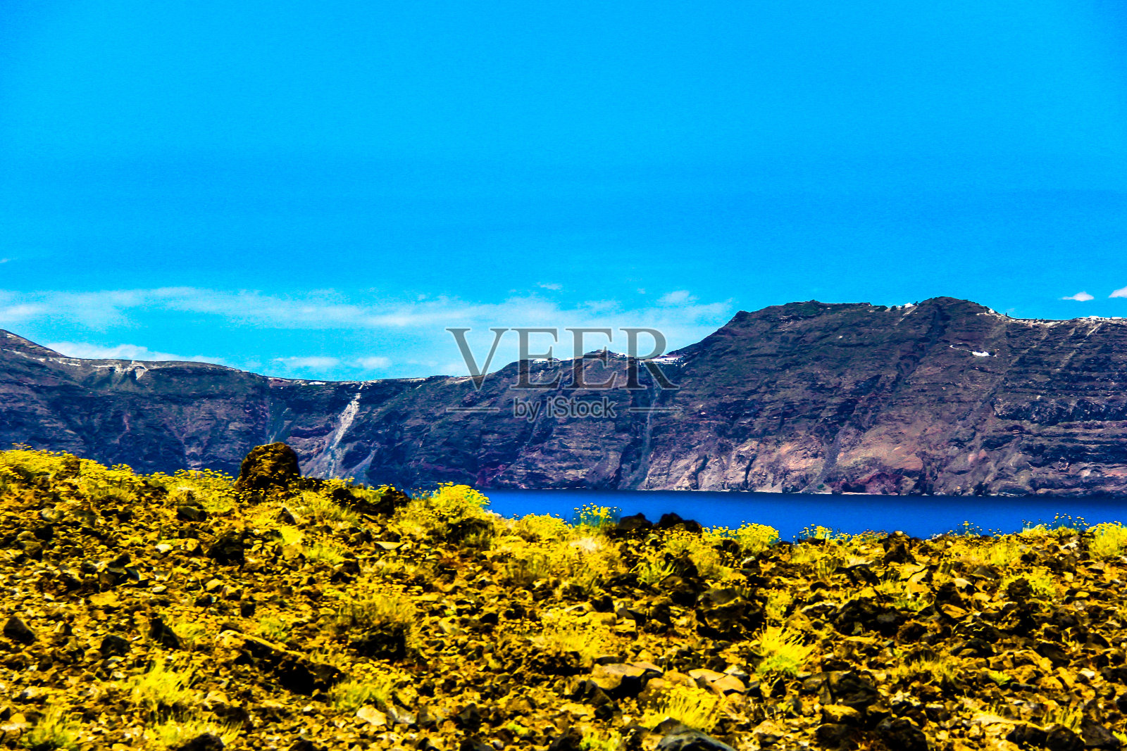 鲜花和悬崖照片摄影图片