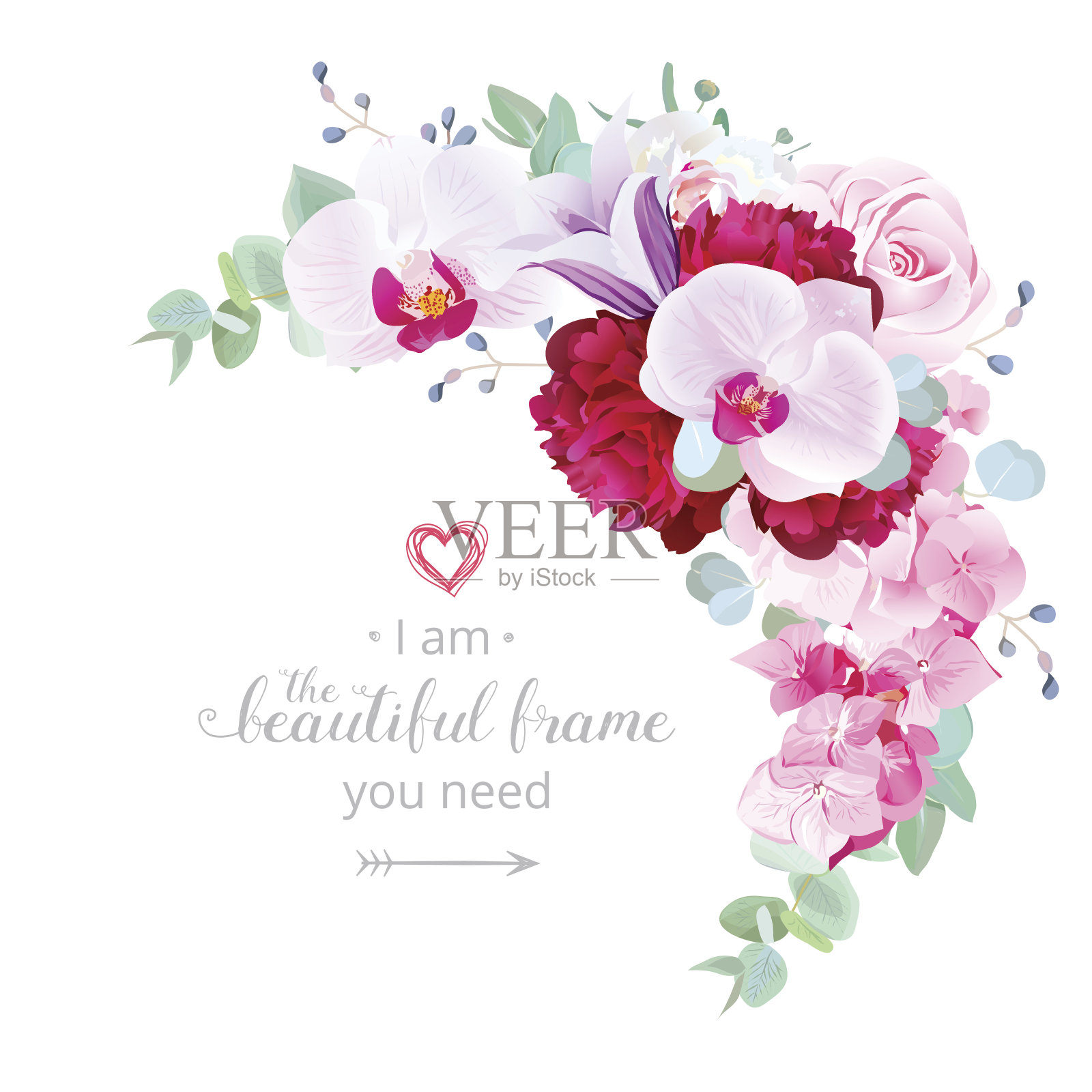 豪华花月牙形矢量框架插画图片素材