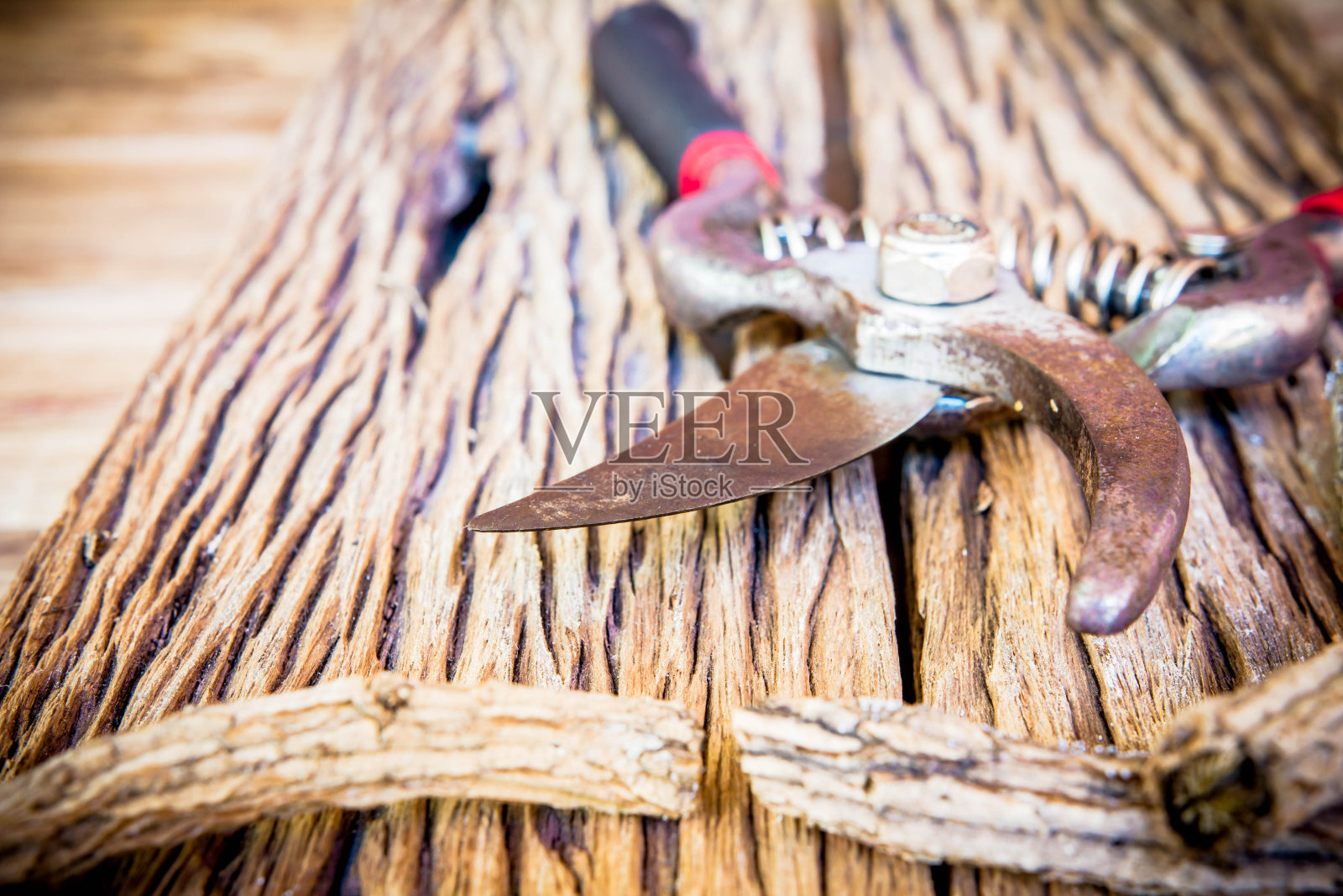 木桌上放着一把旧修剪剪。照片摄影图片