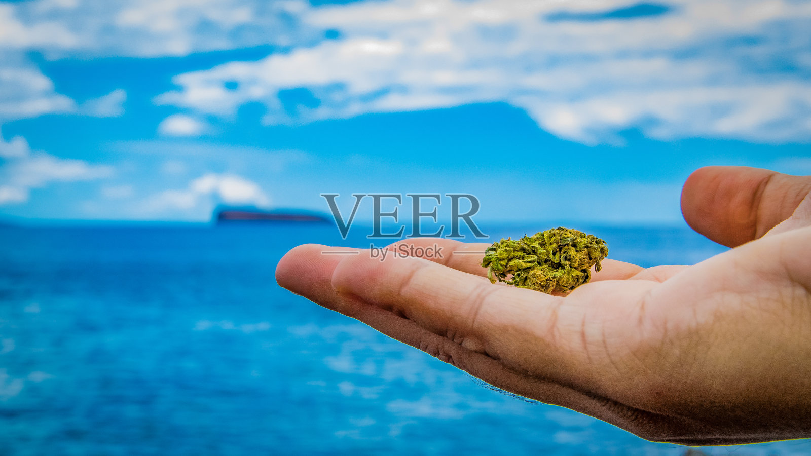 海洋里的大麻照片摄影图片