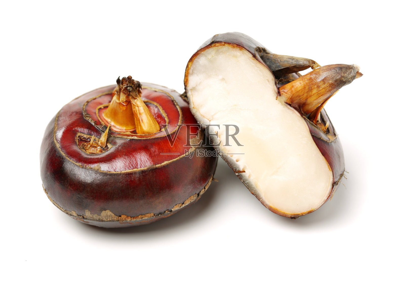 白底上的荸荠照片摄影图片