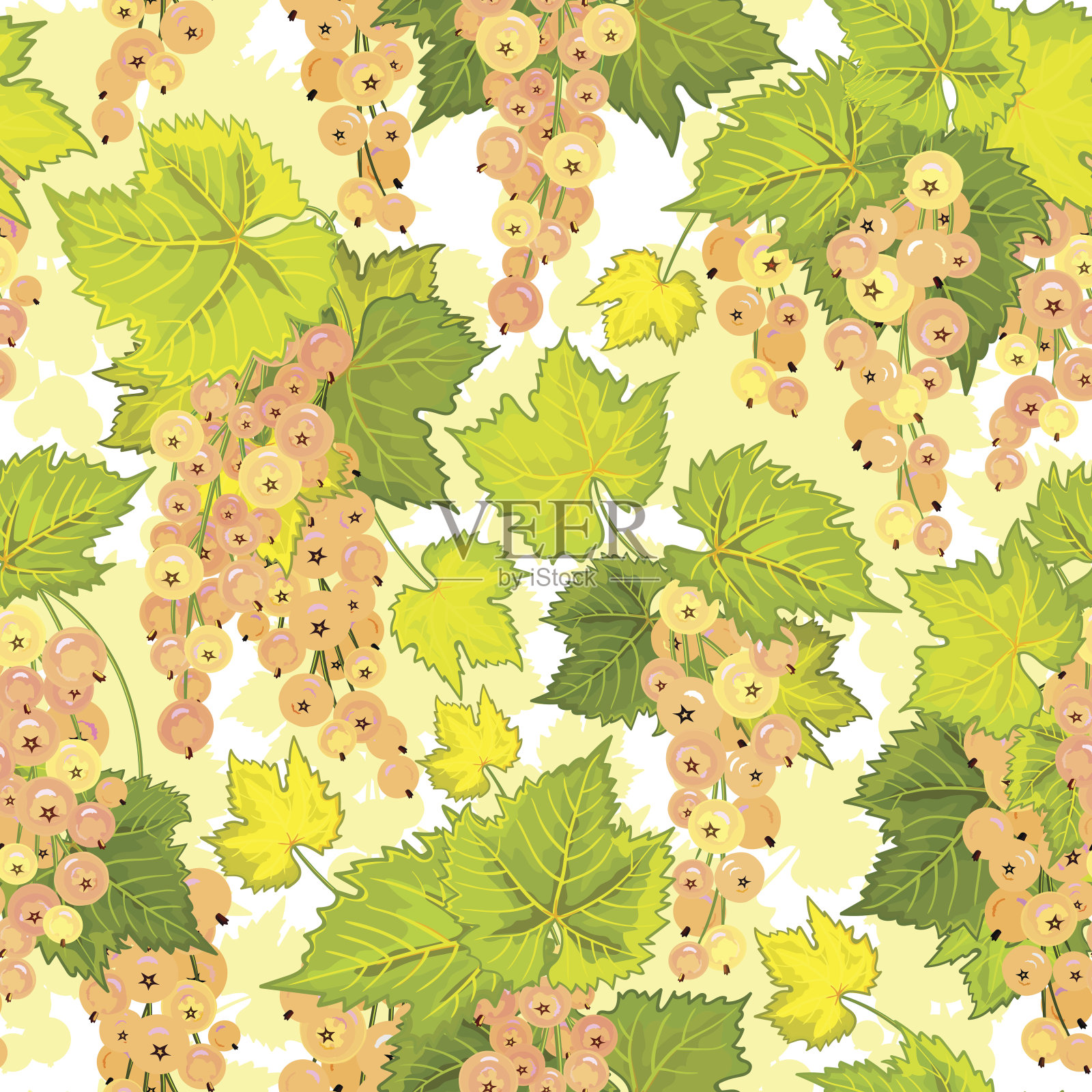 红醋栗无缝图案。浆果的集合。向量设计元素图片