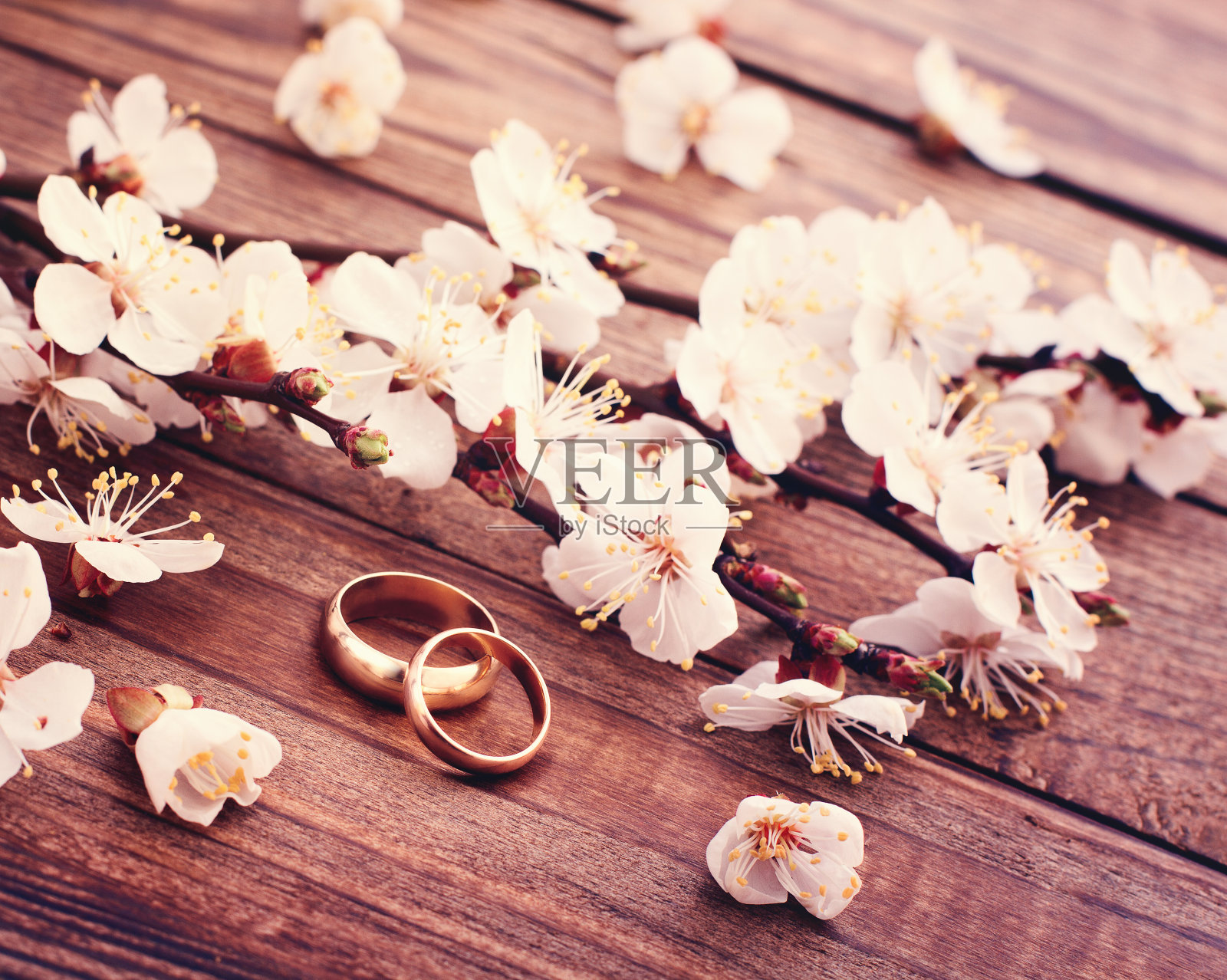 花枝与白色娇嫩的花在木质表面照片摄影图片