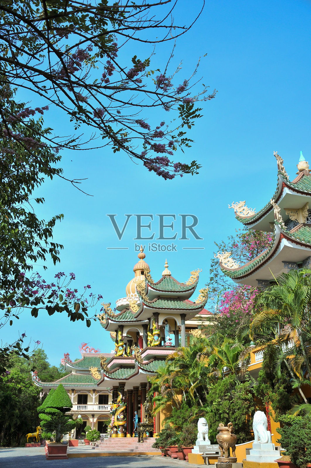 越南胡志明市西宁省佛教宝塔（Nui Cau）照片摄影图片