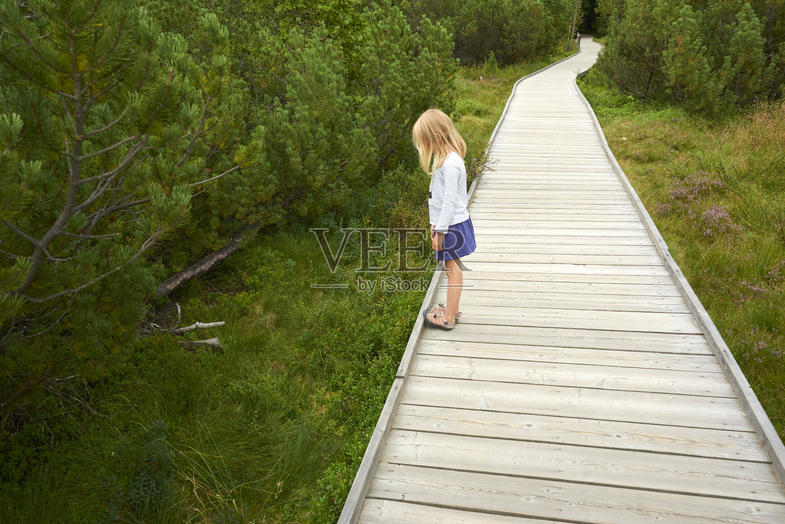 金发小女孩在三湖沼泽探索大自然(特里耶泽尔尼)照片摄影图片