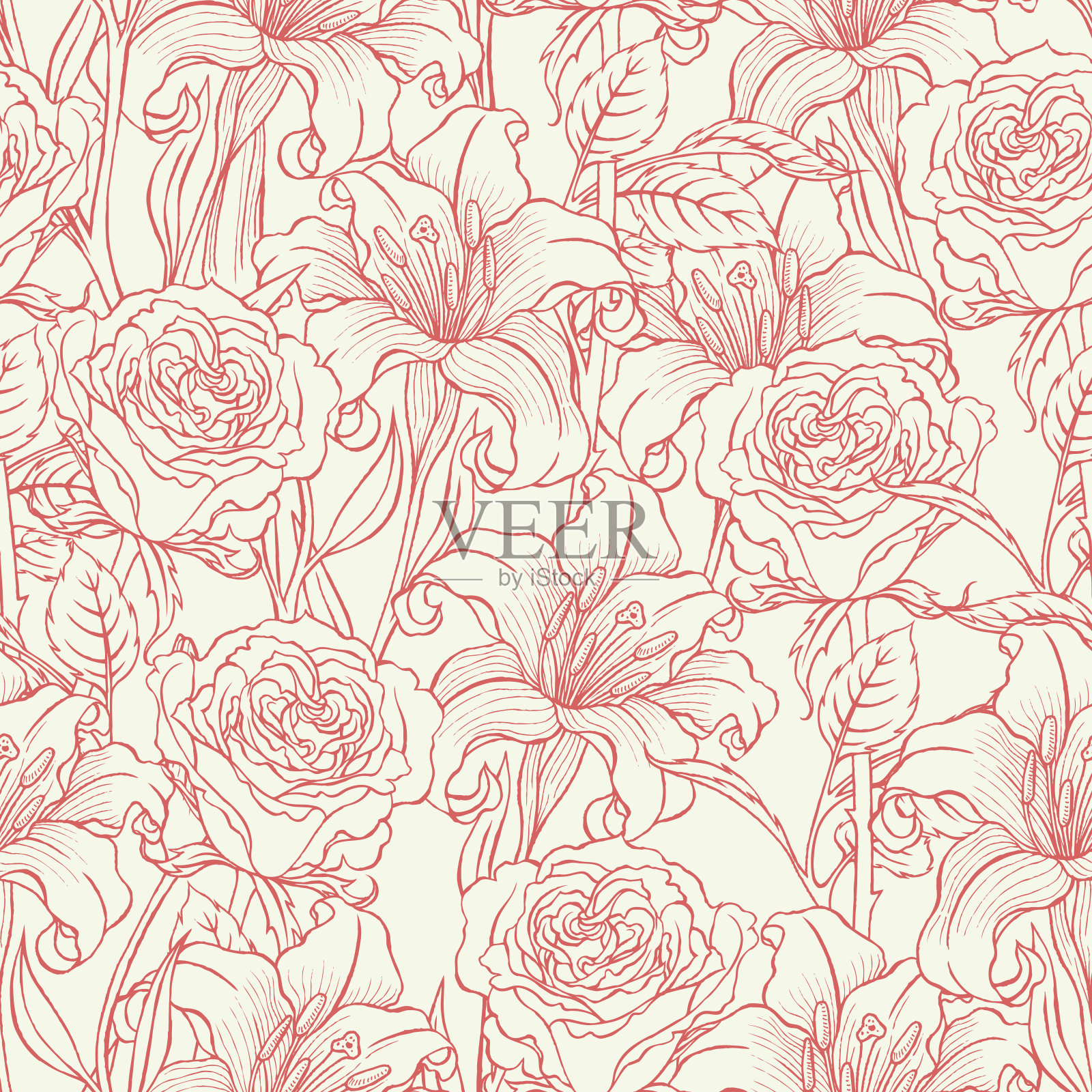 玫瑰和百合插画图片素材