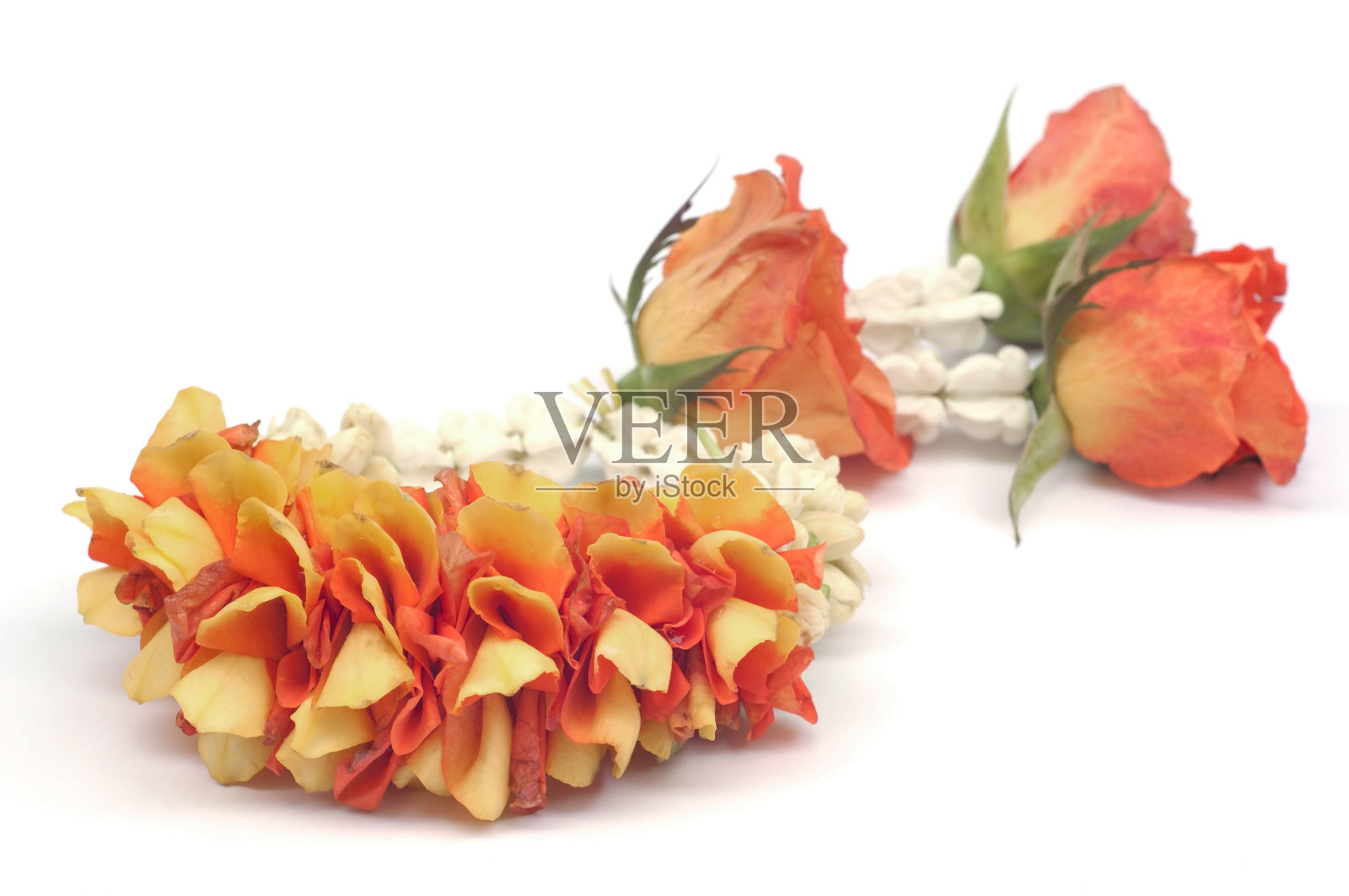 花花环孤立。照片摄影图片