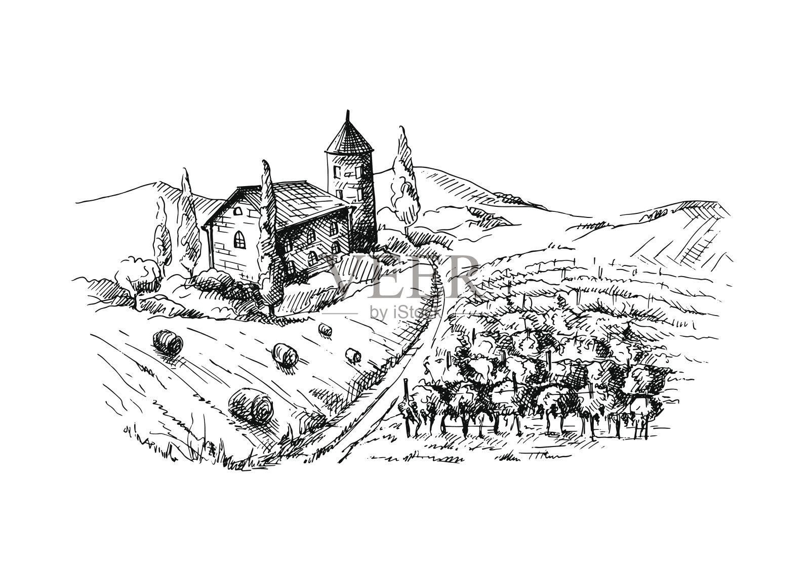 葡萄园的葡萄树和城堡插画图片素材