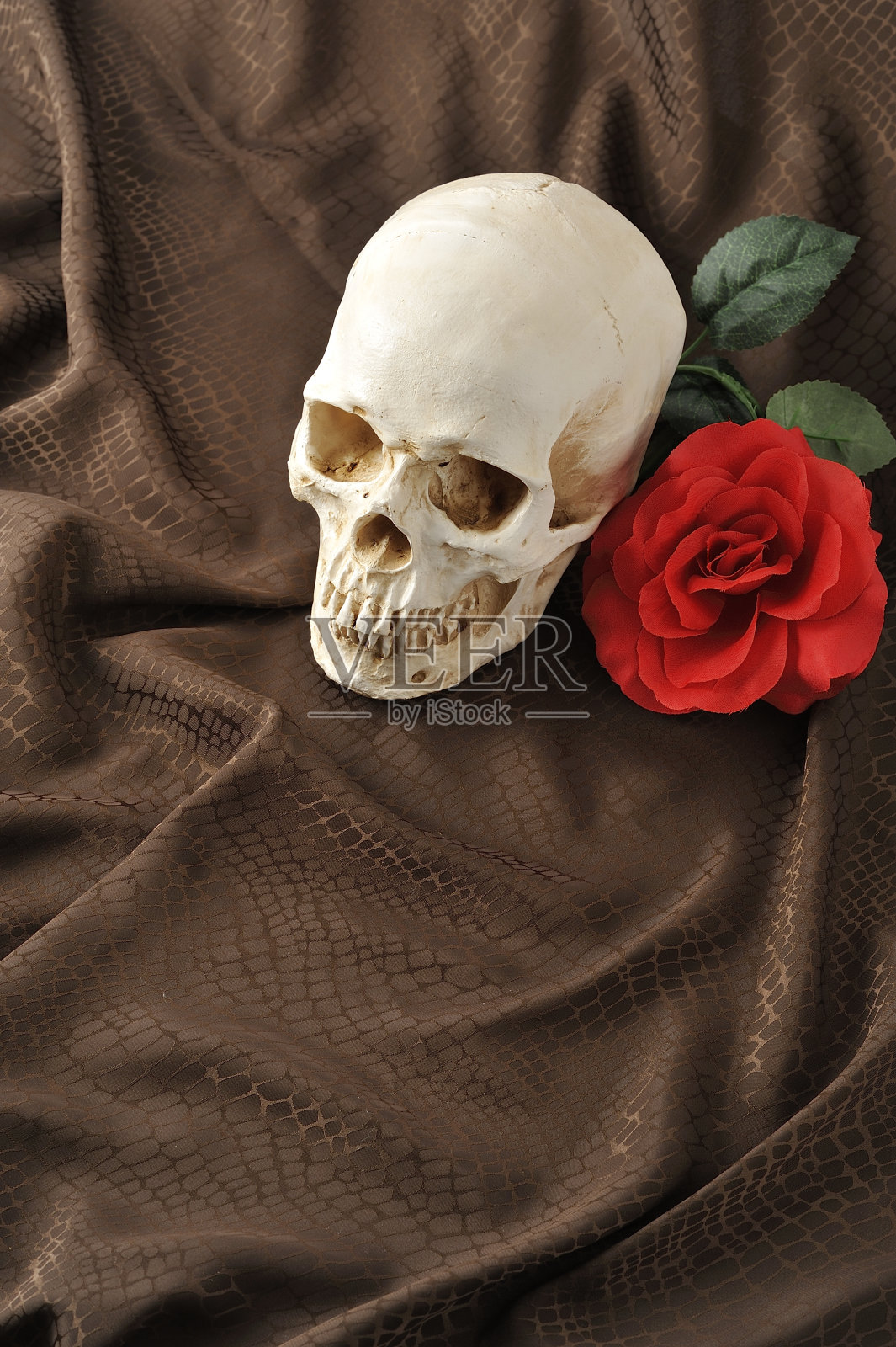 红花骷髅照片摄影图片