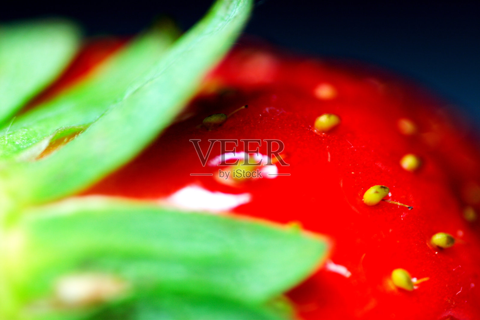 塑料或真实的吗?照片摄影图片