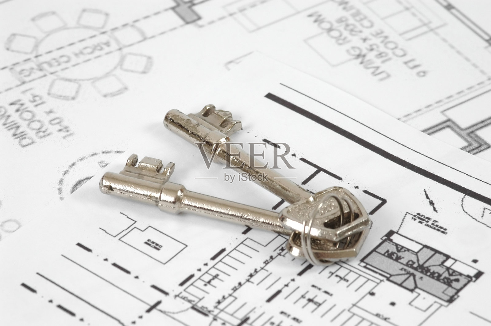 键照片摄影图片