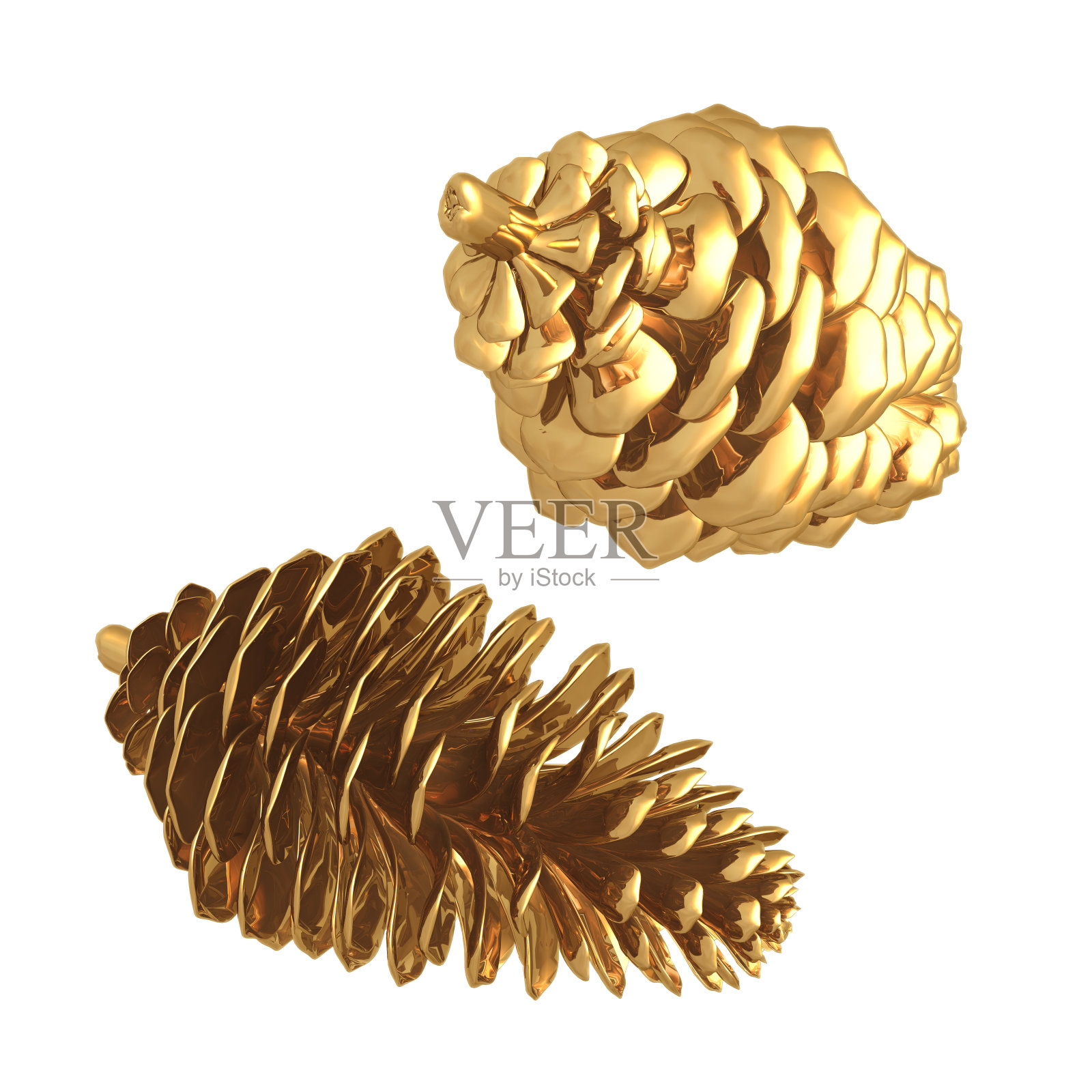 镀金的松果照片摄影图片