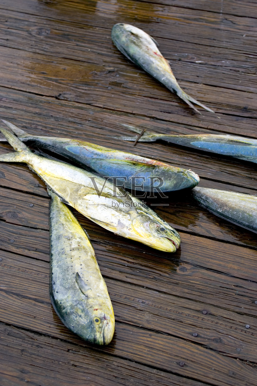 问题照片摄影图片