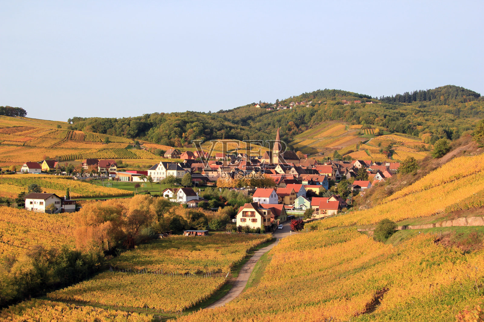 位于阿尔萨斯葡萄园的中心地带。照片摄影图片