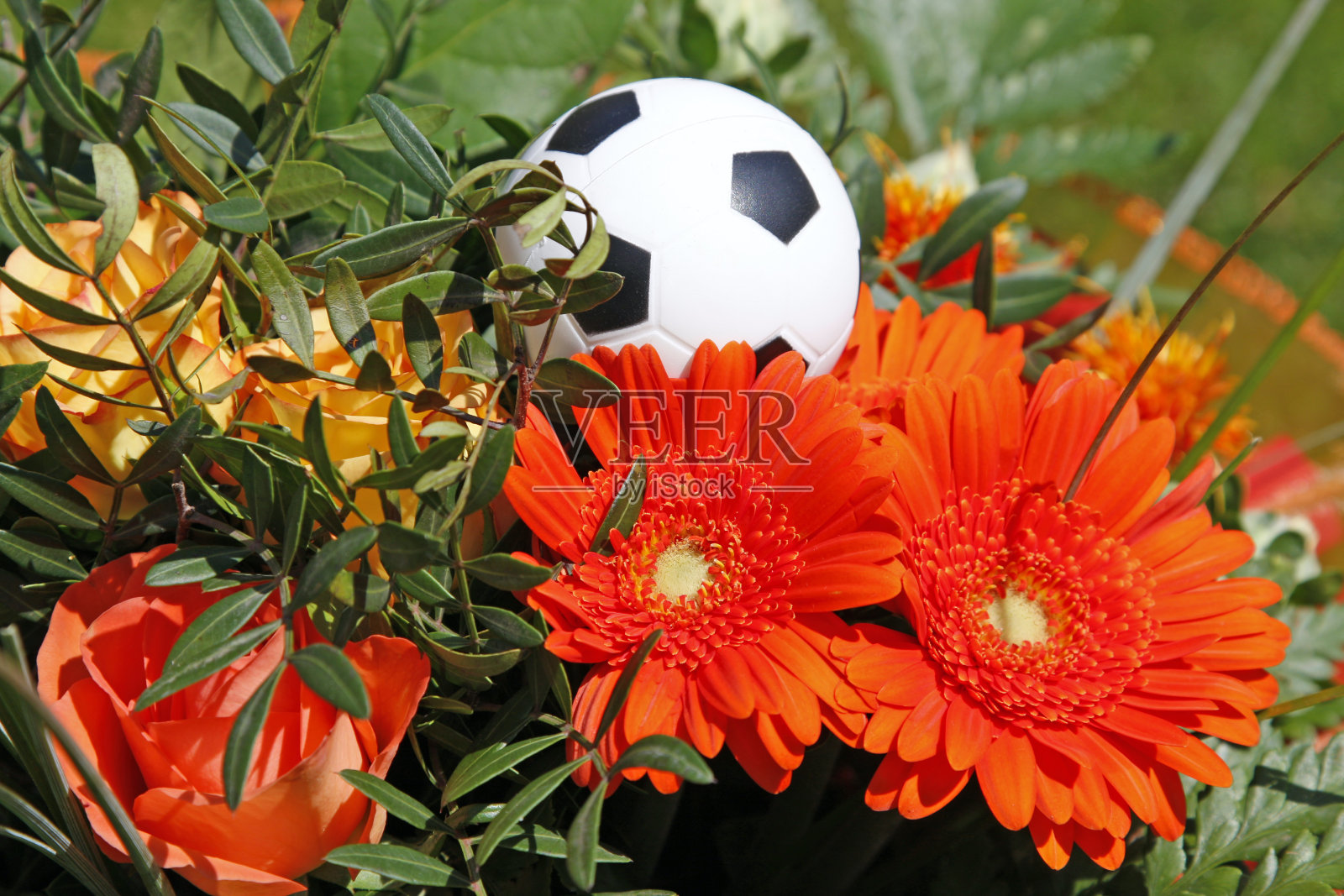 橙色花束# 1 XL照片摄影图片