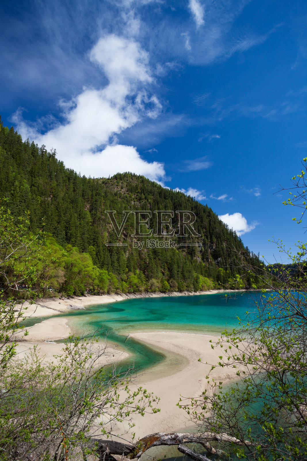 中国四川九寨沟的熊猫湖照片摄影图片