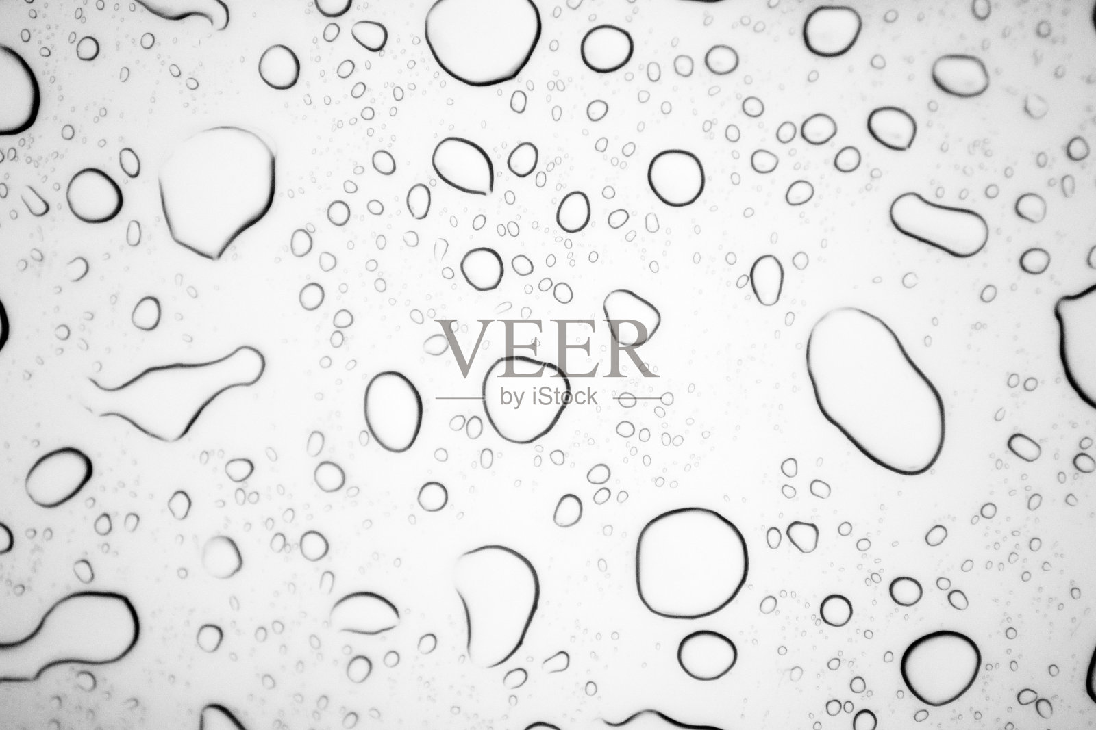 雨水水滴在白色背景- XLarge照片摄影图片