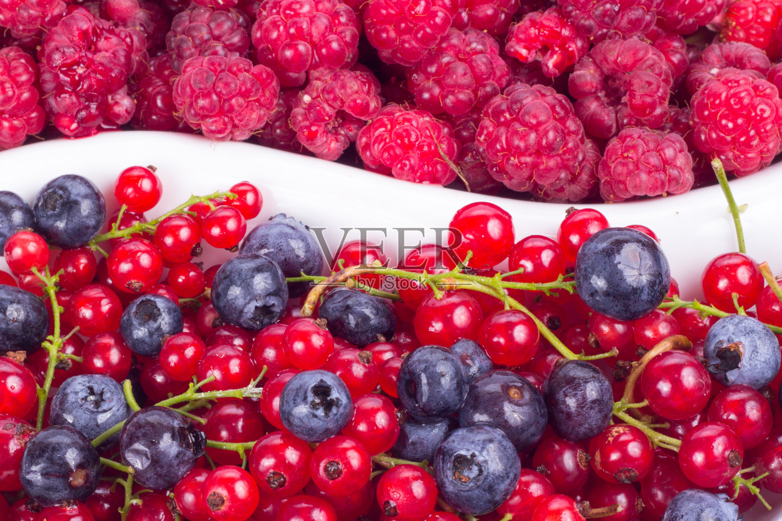 白色背景上带叶子的各种浆果照片摄影图片