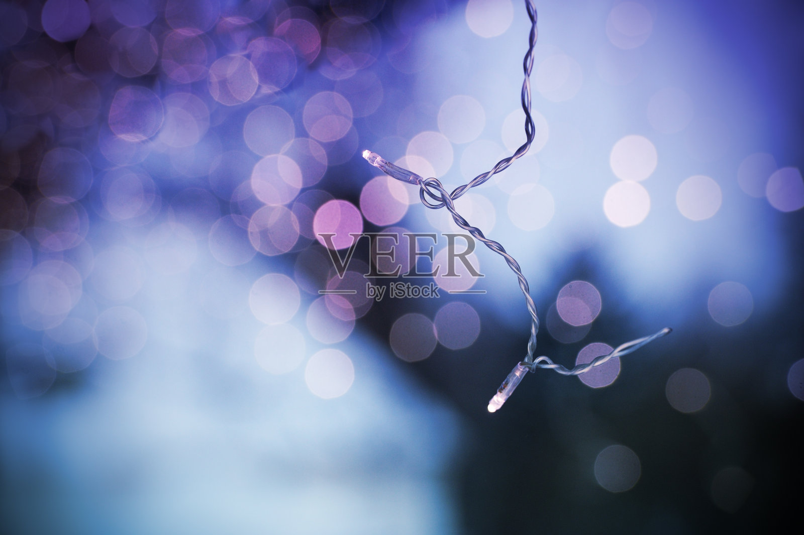 圣诞灯照片摄影图片