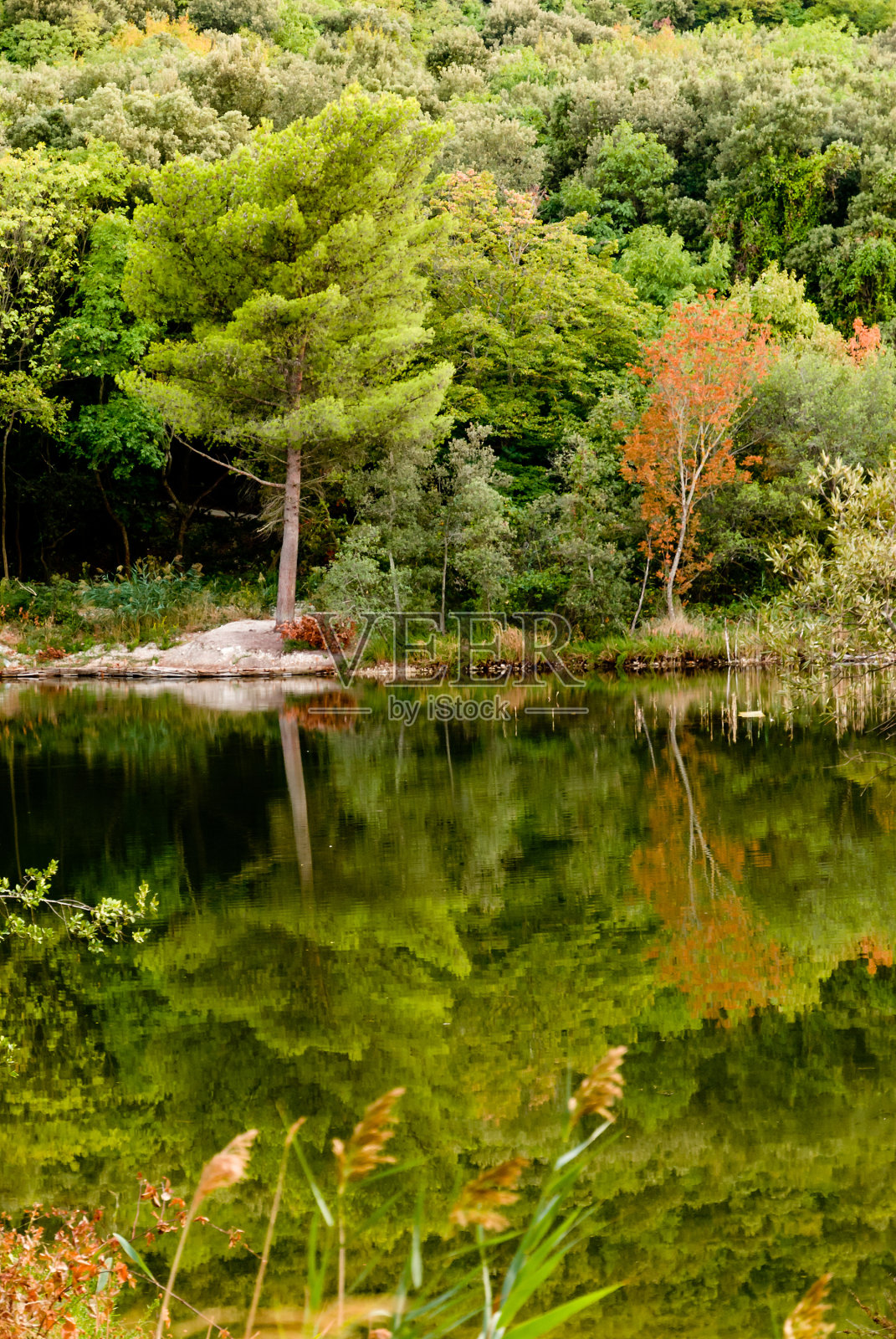 秋天的倒影照片摄影图片