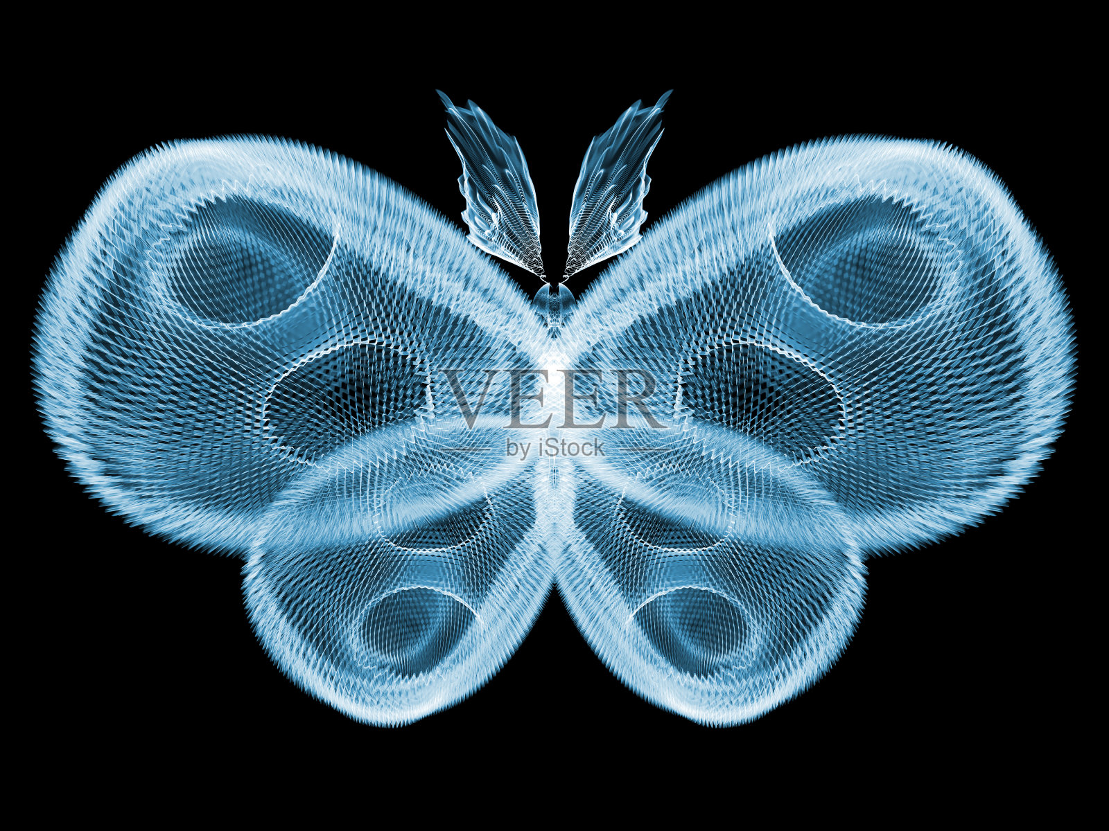 蝴蝶设计照片摄影图片