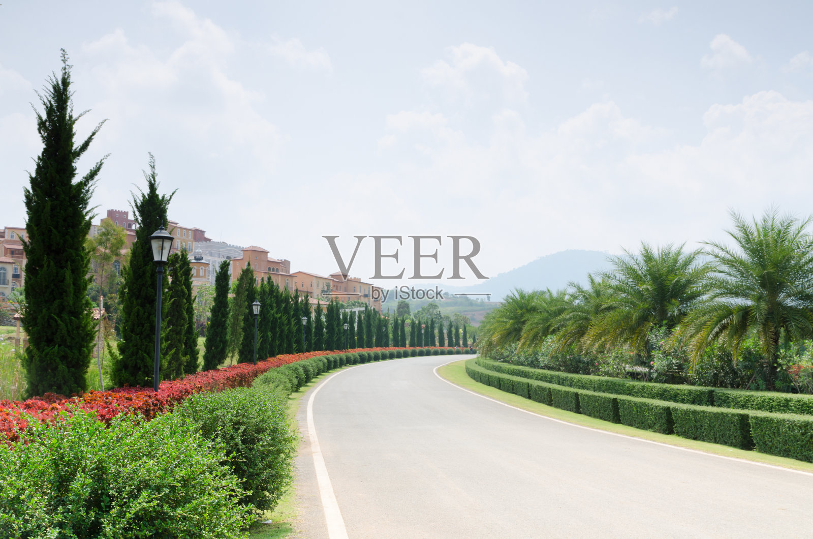 家庭花园照片摄影图片