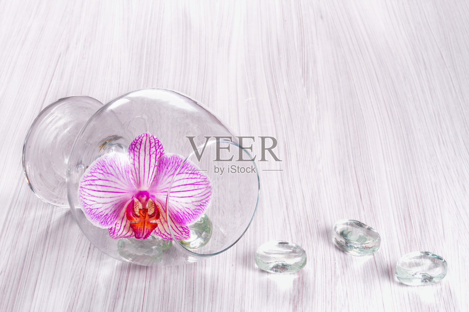 杯中兰花照片摄影图片