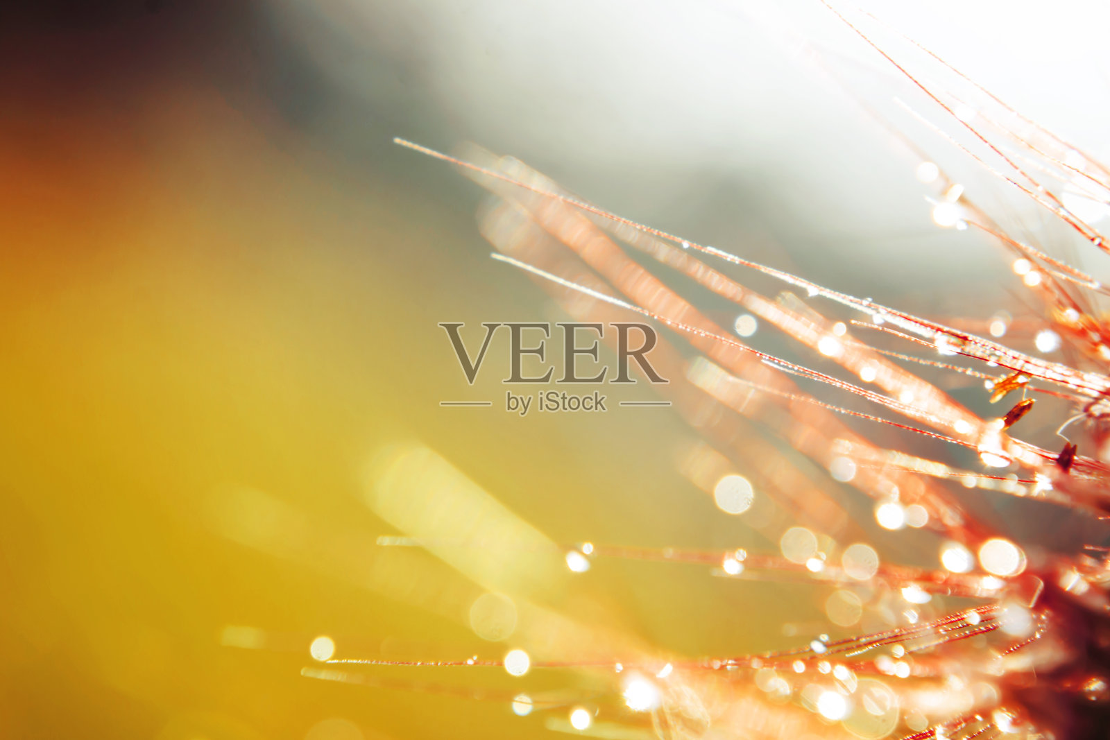 模糊和软焦点草花与水滴照片摄影图片