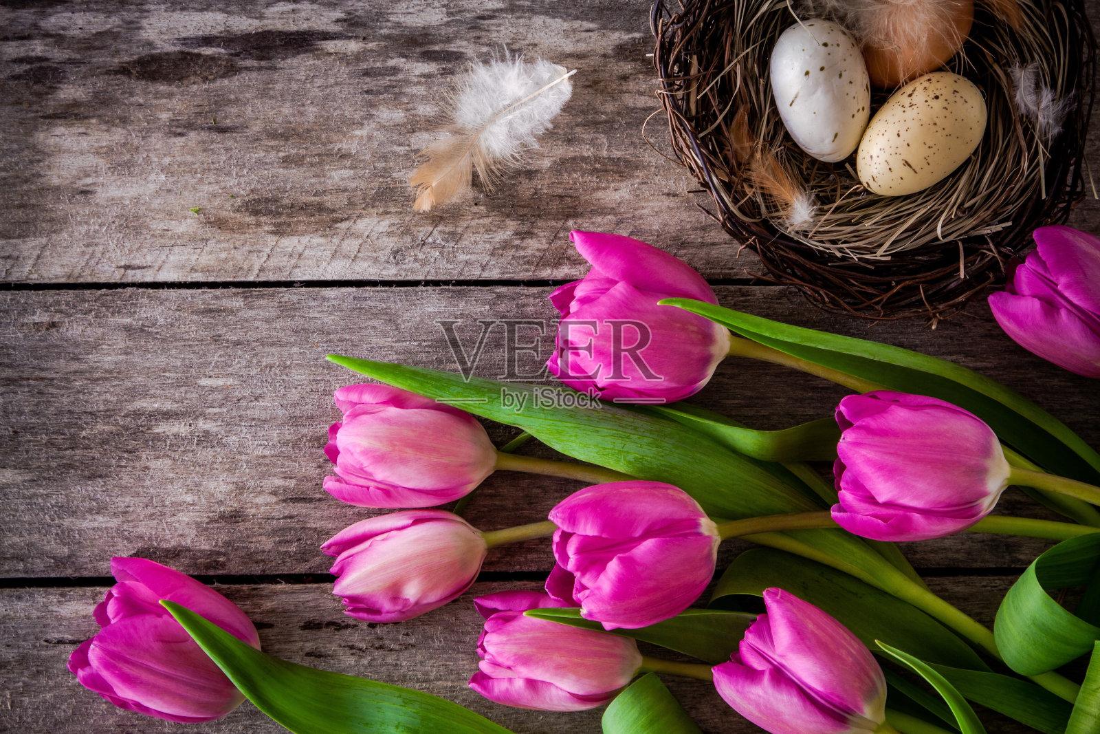 一束带蛋窝的粉红色郁金香照片摄影图片