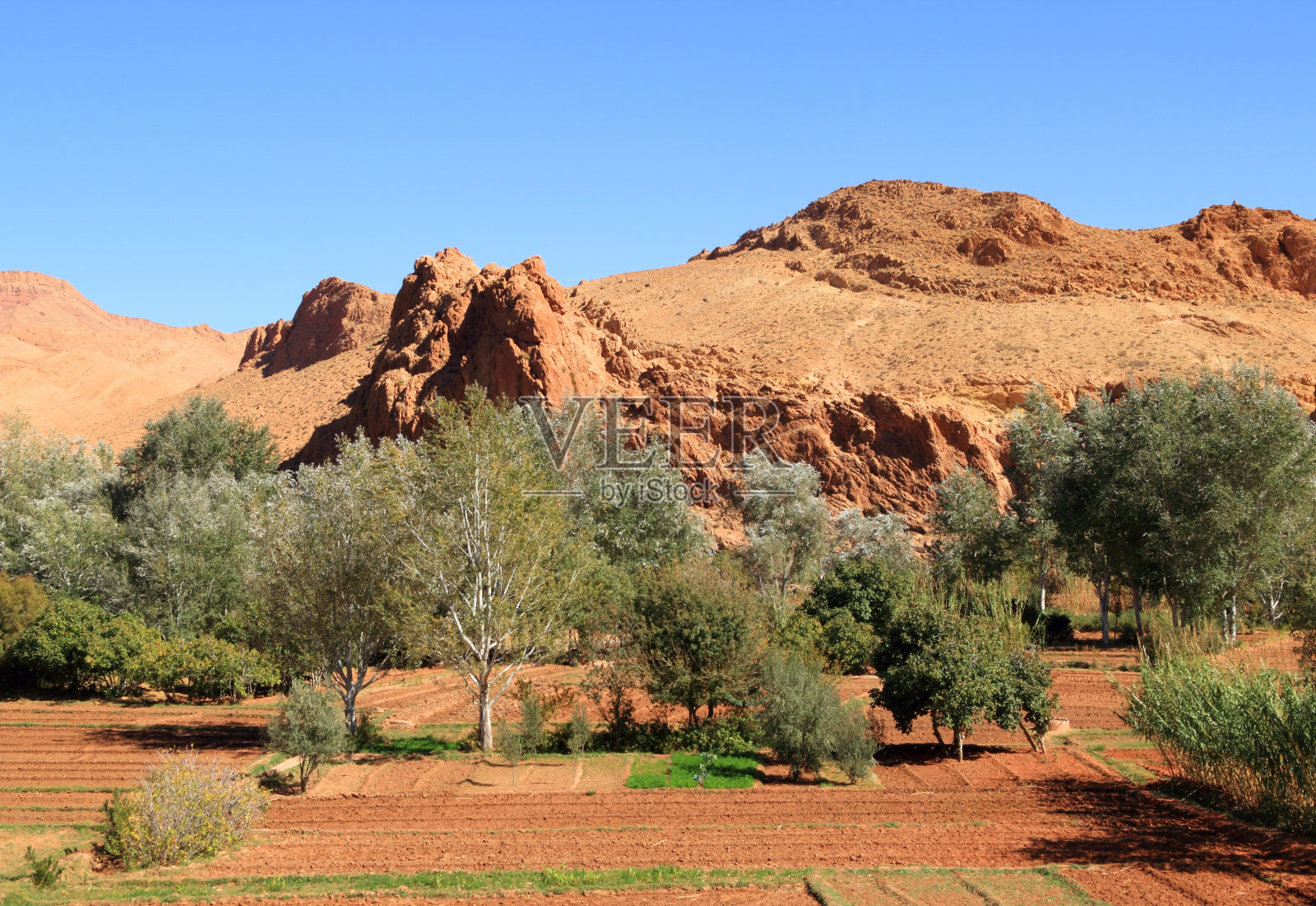 爸爸山谷,摩洛哥。照片摄影图片