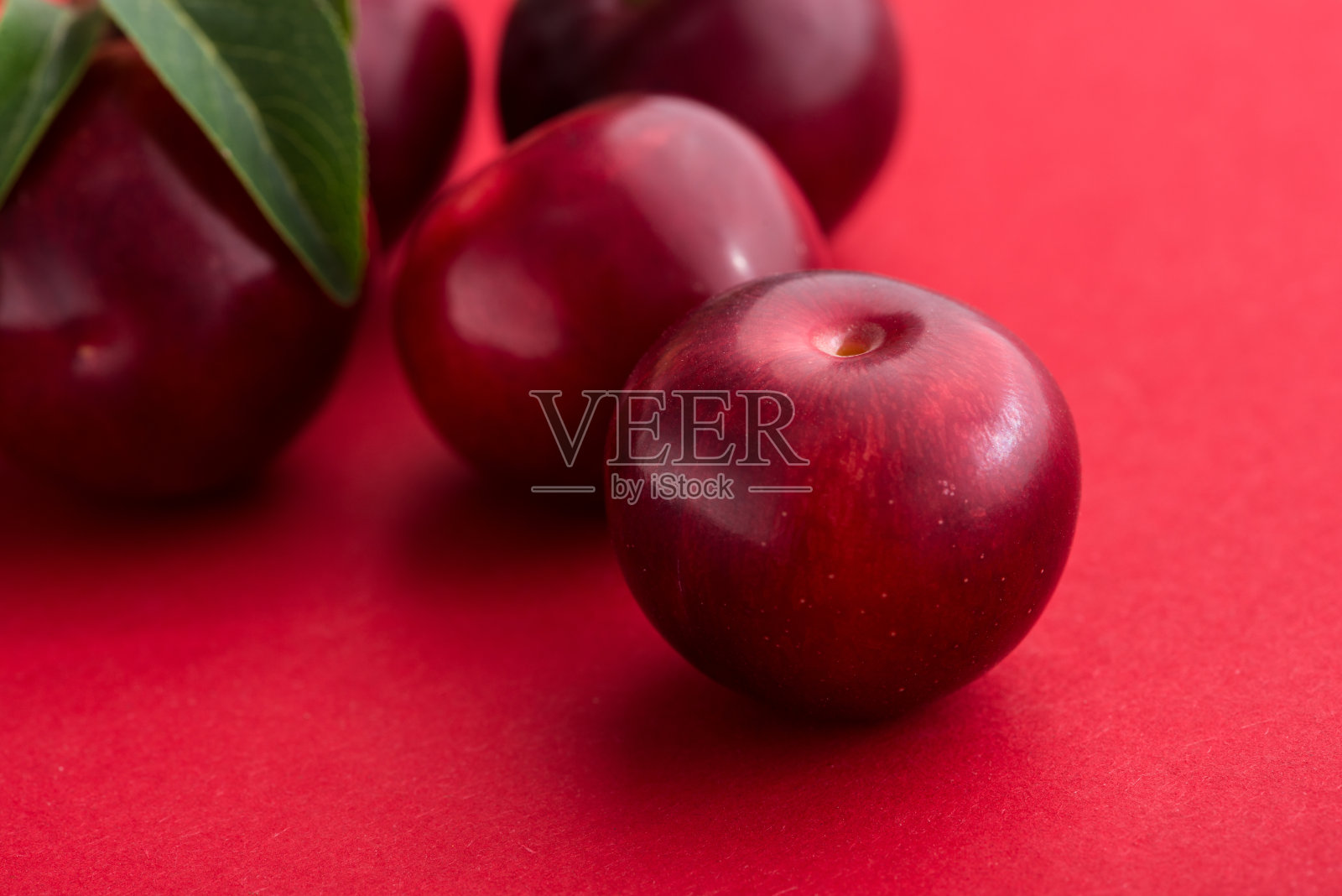 红色的梅花照片摄影图片