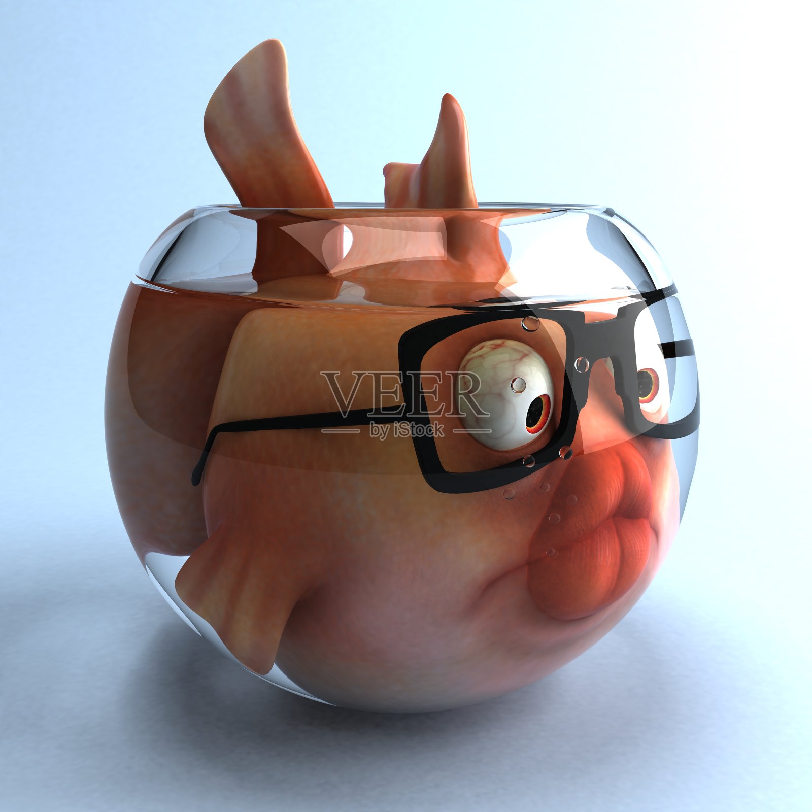 悲伤的鱼照片摄影图片