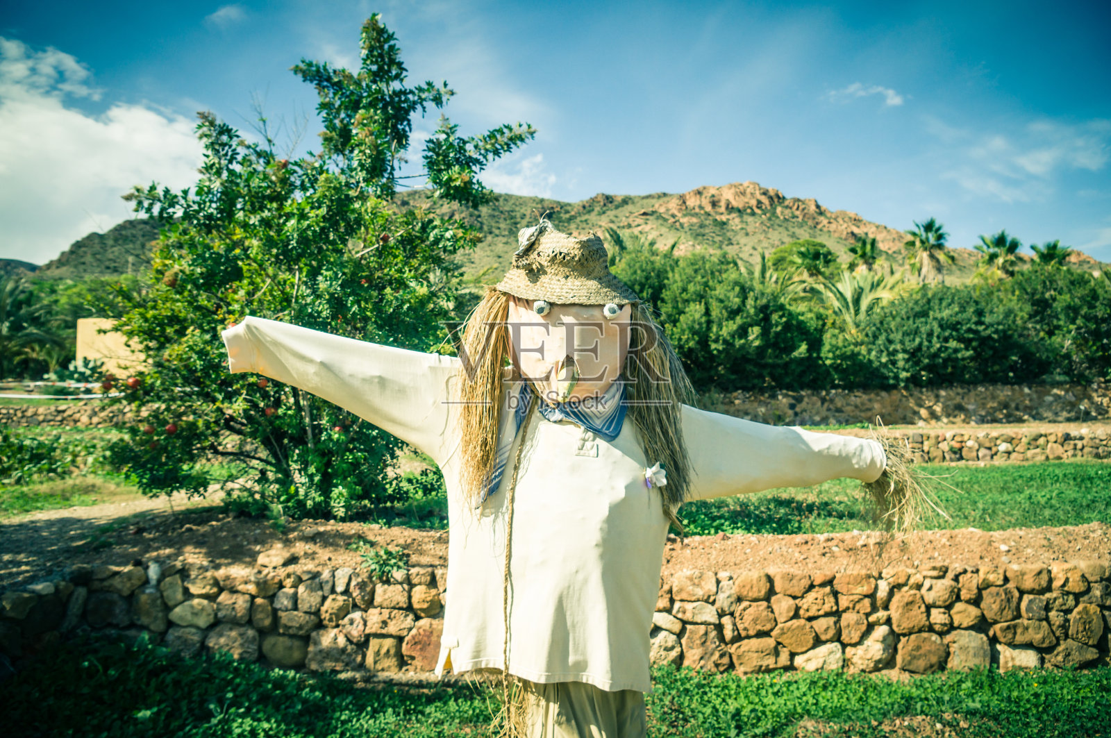 稻草人照片摄影图片