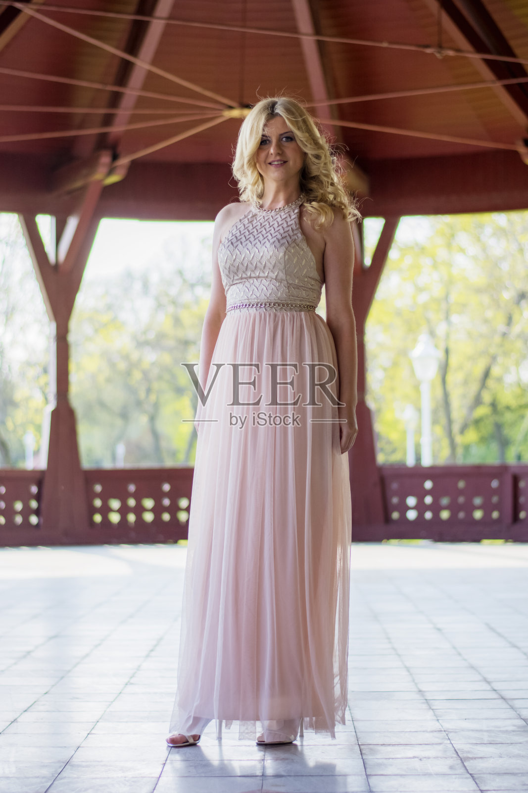 金发女人在晚礼服摆姿势照片摄影图片