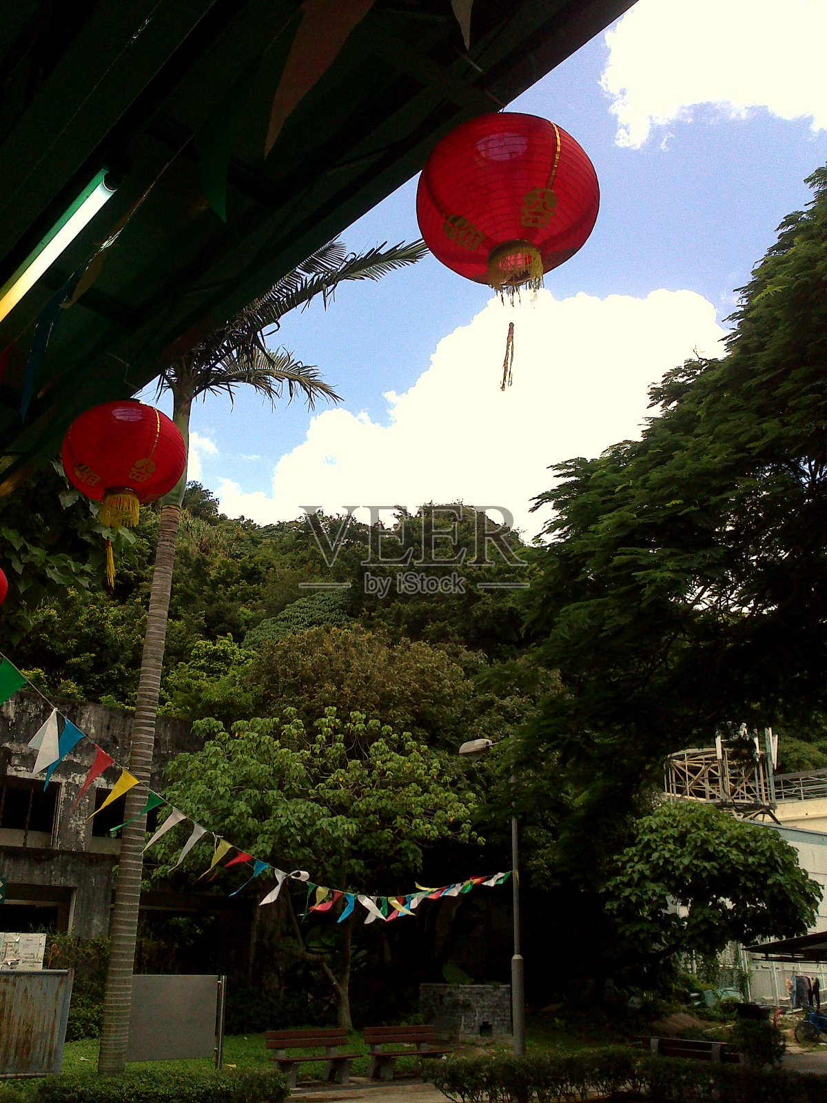 大屿山大澳的中国灯笼照片摄影图片