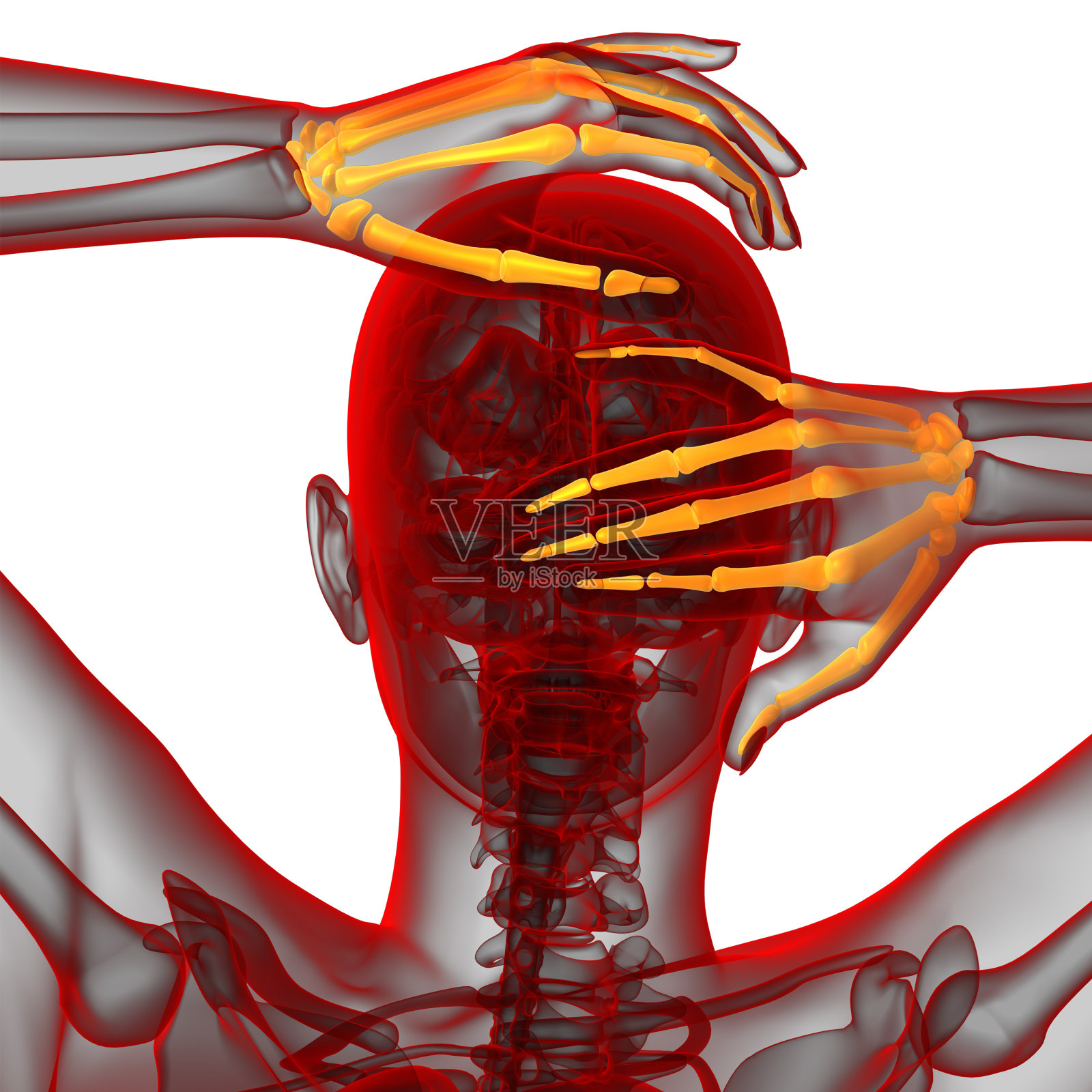 骨骼手的3d渲染图照片摄影图片