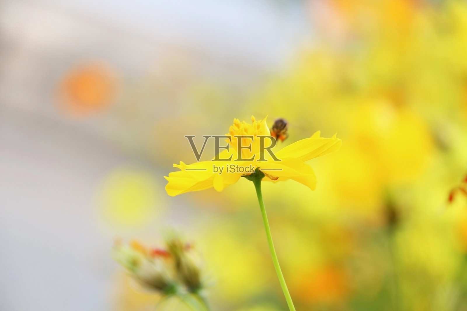 宇宙照片摄影图片