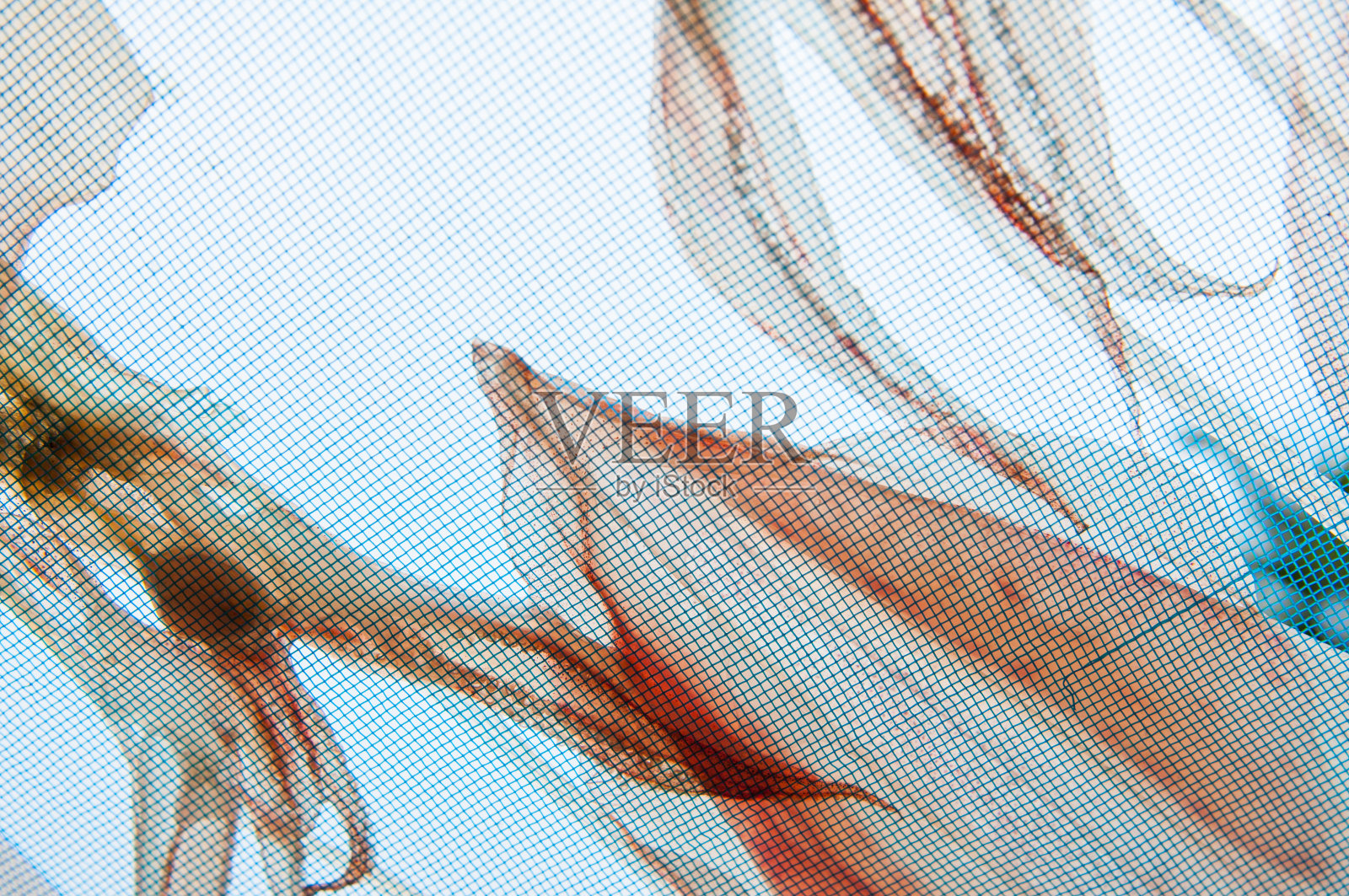 鱿鱼干照片摄影图片