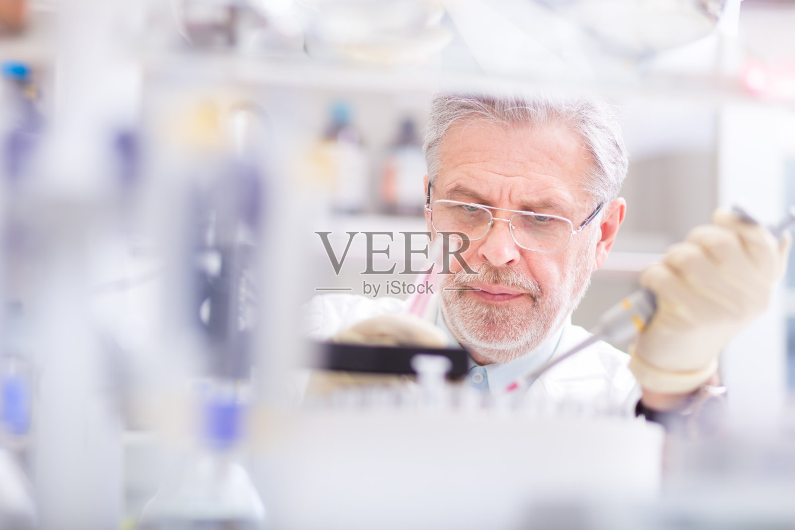 在实验室里研究的生命科学家。照片摄影图片