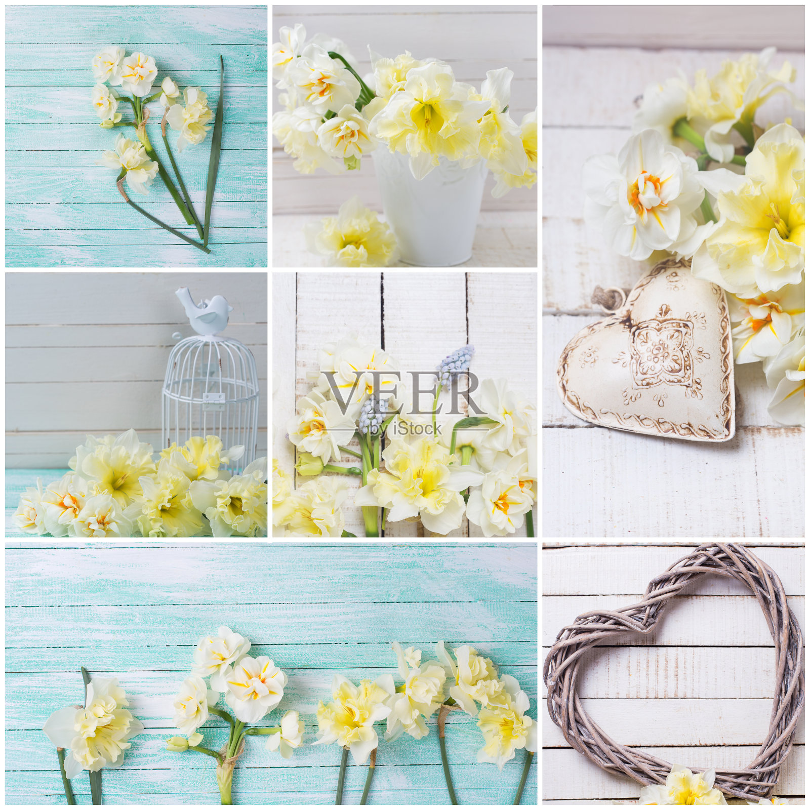 用新鲜的黄色水仙花和装饰元素拼贴。照片摄影图片